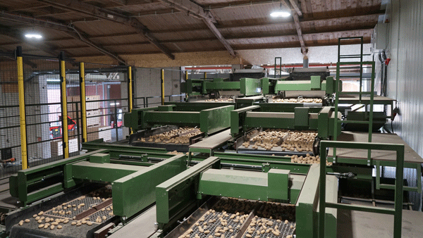 Sortierungsanlagen_MUSS